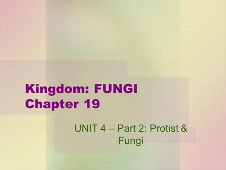 Kingdom: FUNGI Chapter 19 UNIT 4 – Part 2: Protist & Fungi.