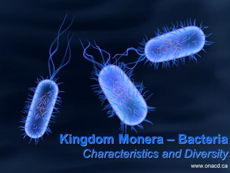 Kingdom Monera – Bacteria Characteristics and Diversity www.onacd.ca.