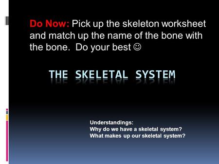 Understandings: Why do we have a skeletal system? What makes up our skeletal system? Do Now: Pick up the skeleton worksheet and match up the name of the.
