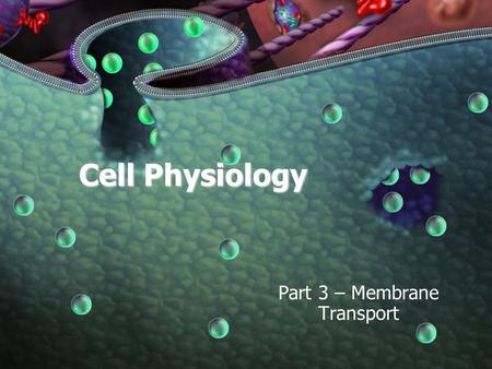 Cell Physiology Part 3 – Membrane Transport. 9-08-09 Agenda Review Membrane Potentials Membrane Transport –Passive –Active Summary of Membrane Function.