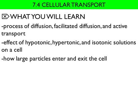 WHAT YOU WILL LEARN 7.4 CELLULAR TRANSPORT