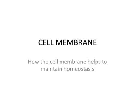 CELL MEMBRANE How the cell membrane helps to maintain homeostasis.