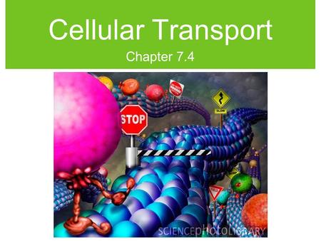 Cellular Transport Chapter 7.4