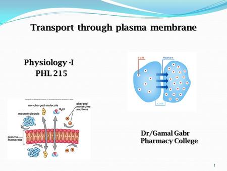 Transport through plasma membrane Physiology -I PHL 215 PHL 215 Dr/Gamal Gabr Pharmacy College Pharmacy College 1.
