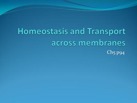 Ch5 p94. Types of Transport Passive Transport Diffusion Osmosis Facilitated diffusion Active Transport Cell membrane pumps Endocytosis Exocytosis Movement.