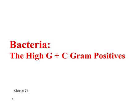 1 Bacteria: The High G + C Gram Positives Chapter 24.