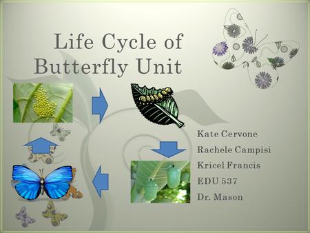 7 Life Cycle of Butterfly Unit. Rationale Essential Question.