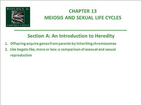 CHAPTER 13 MEIOSIS AND SEXUAL LIFE CYCLES Section A: An Introduction to Heredity 1.Offspring acquire genes from parents by inheriting chromosomes 2. Like.