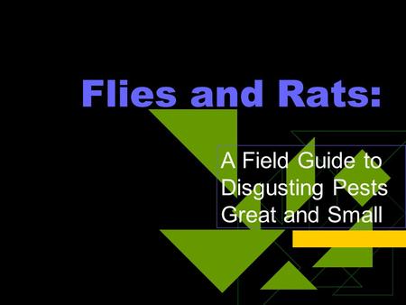 Flies and Rats: A Field Guide to Disgusting Pests Great and Small.
