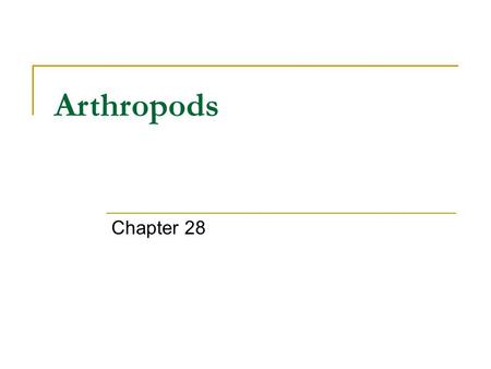 Arthropods Chapter 28.