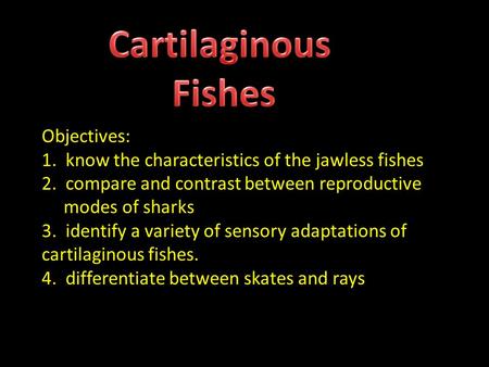 Cartilaginous Fishes Objectives: 1. know the characteristics of the jawless fishes 2. compare and contrast between reproductive.