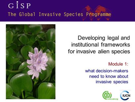 Module 1: what decision-makers need to know about invasive species Developing legal and institutional frameworks for invasive alien species.