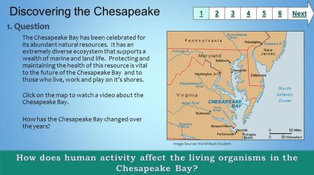 The Chesapeake Bay has been celebrated for its abundant natural resources. It has an extremely diverse ecosystem that supports a wealth of marine and land.