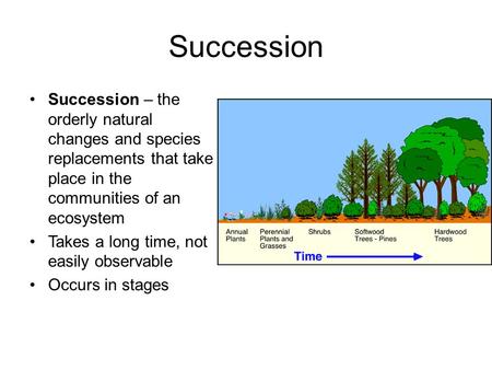 Succession Succession – the orderly natural changes and species replacements that take place in the communities of an ecosystem Takes a long time, not.