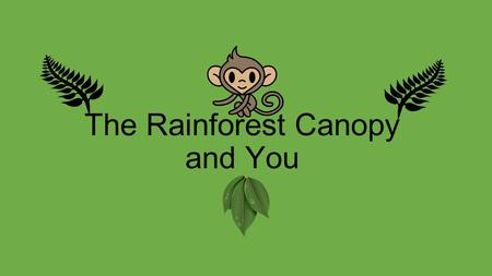 The Rainforest Canopy and You. Hi! I am Mango the Monkey and I am here to tell you all about the rainforest canopy. First, lets learn about the other.