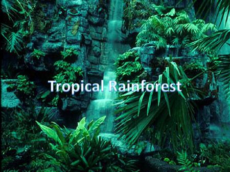 General Information Located near or along the equator Rainforests are hot year around with little temperature change. Rains more than 90 days per year.
