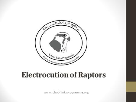 Electrocution of Raptors www.schoollinksprogramme.org.