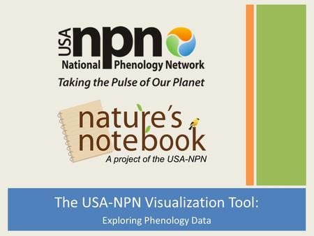 The USA-NPN Visualization Tool: Exploring Phenology Data.