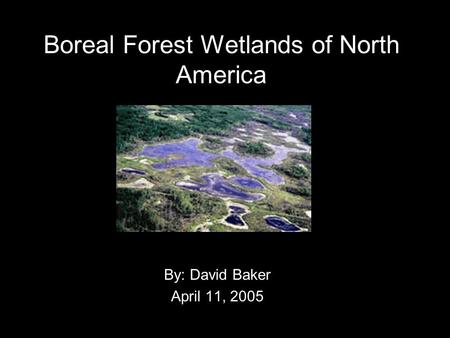 Boreal Forest Wetlands of North America By: David Baker April 11, 2005.