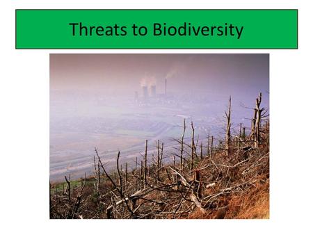 Threats to Biodiversity. Biodiversity What is biodiversity? – The total diversity of life Why is it important? – One of Earth’s greatest natural resources.