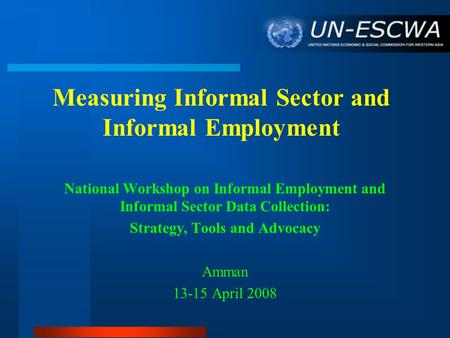 Measuring Informal Sector and Informal Employment National Workshop on Informal Employment and Informal Sector Data Collection: Strategy, Tools and Advocacy.