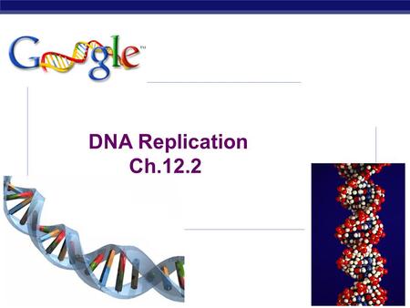 AP Biology 2007-2008 DNA Replication Ch.12.2 AP Biology DNA Replication  Purpose: cells need to make a copy of DNA before dividing so each daughter.