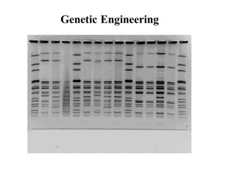 Genetic Engineering Polymerase Chain Reaction (PCR) Fig. 16.3 in text a technique for quickly cloning a particular piece of DNA in the test tube (rather.