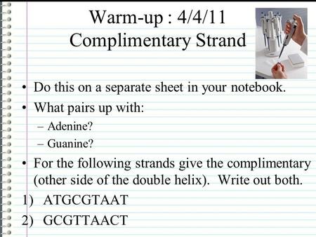 Warm-up : 4/4/11 Complimentary Strand Do this on a separate sheet in your notebook. What pairs up with: –Adenine? –Guanine? For the following strands give.
