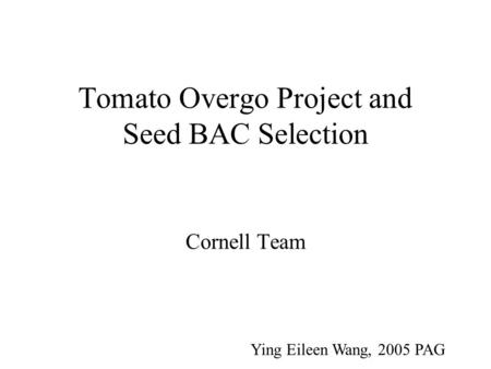 Tomato Overgo Project and Seed BAC Selection Cornell Team Ying Eileen Wang, 2005 PAG.