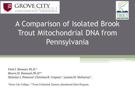 A Comparison of Isolated Brook Trout Mitochondrial DNA from Pennsylvania Fred J. Brenner, Ph.D.* Shawn M. Rummel, Ph.D** Nicholas J. Petersen*,Christina.