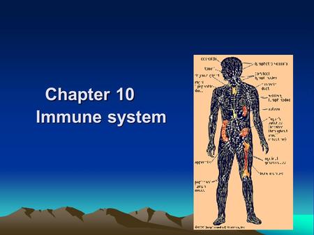 Chapter 10 Immune system Chapter 10 Immune system.