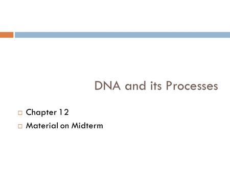 DNA and its Processes  Chapter 12  Material on Midterm.