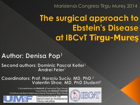 The surgical approach to Ebstein's Disease at IBCvT Tîrgu-Mureş