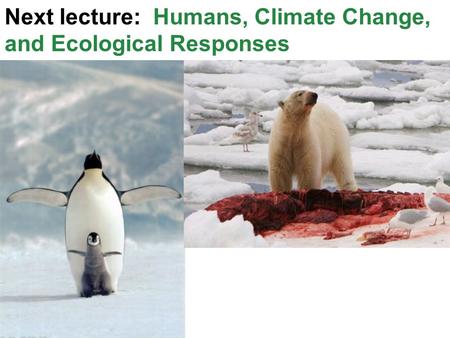 Next lecture: Humans, Climate Change, and Ecological Responses.