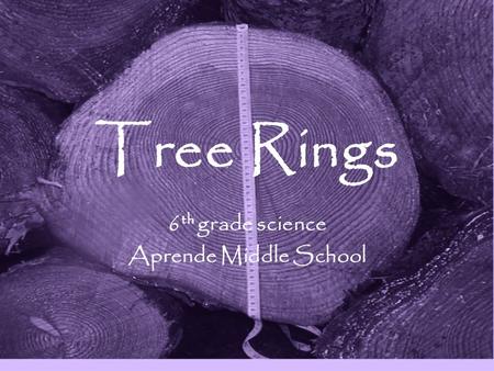 Tree Rings 6 th grade science Aprende Middle School.