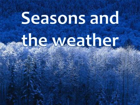 There are four seasons in the year. They are: winter.