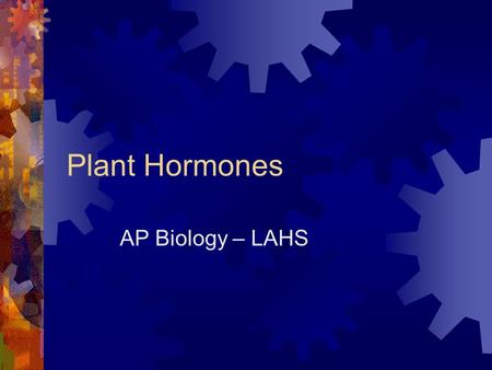Plant Hormones AP Biology – LAHS.