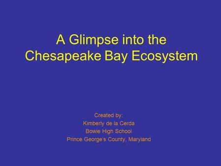 A Glimpse into the Chesapeake Bay Ecosystem