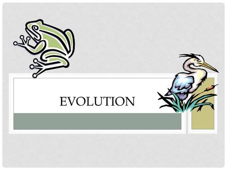 EVOLUTION. CHARLES DARWIN Earth has millions of other kinds of organisms of every imaginable shape, size, and habitat. This variety of living things.