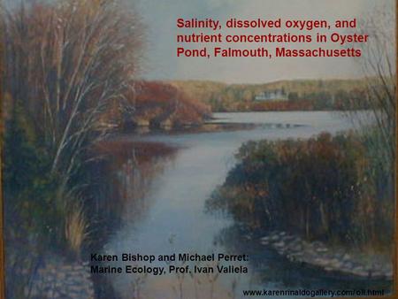 Salinity, dissolved oxygen, and nutrient concentrations in Oyster Pond, Falmouth, Massachusetts Karen Bishop and Michael Perret: Marine Ecology, Prof.
