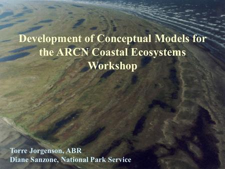 Development of Conceptual Models for the ARCN Coastal Ecosystems Workshop Torre Jorgenson, ABR Diane Sanzone, National Park Service.
