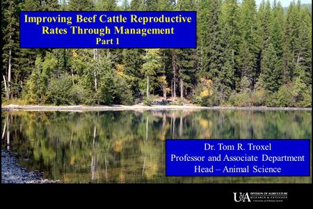 Improving Beef Cattle Reproductive Rates Through Management Part 1 Dr. Tom R. Troxel Professor and Associate Department Head – Animal Science.