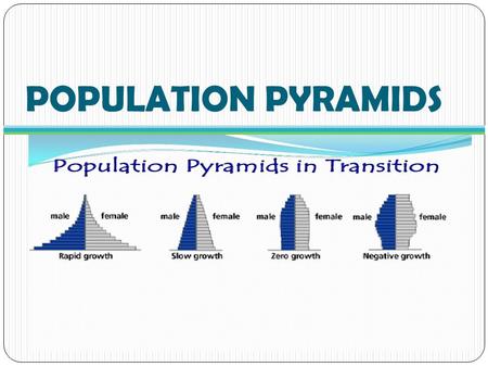 POPULATION PYRAMIDS. Population Pyramids Graph that shows the percentage of population in certain age groups Separates Male and Female Allows you to make.