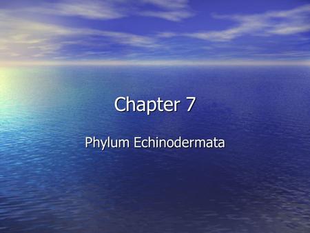Chapter 7 Phylum Echinodermata.