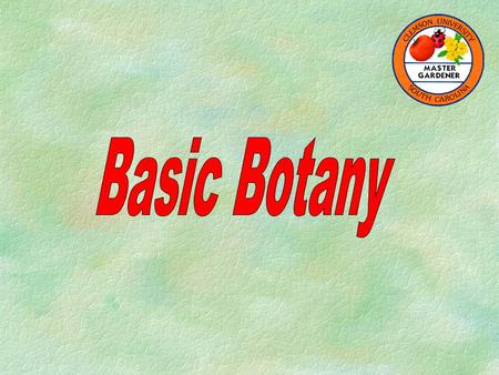 Basic Botany.
