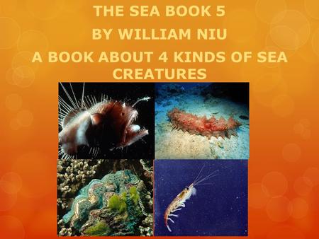 THE SEA BOOK 5 BY WILLIAM NIU A BOOK ABOUT 4 KINDS OF SEA CREATURES.