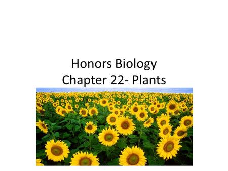 Honors Biology Chapter 22- Plants