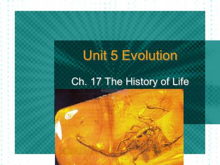 Unit 5 Evolution Ch. 17 The History of Life. Fossils & Ancient Life Paleontologists - scientists that study fossils From fossils, scientists can infer.