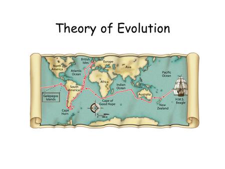 Theory of Evolution. WRITE A DEFINITION: gradual change over time; the process by which modern organisms have descended from ancient organisms a well-supported.