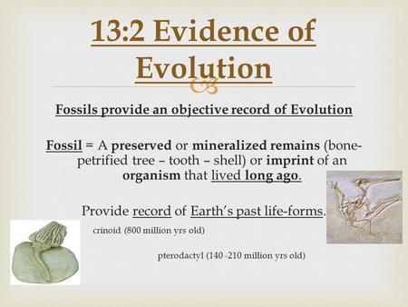  Fossils provide an objective record of Evolution Fossil = A preserved or mineralized remains (bone- petrified tree – tooth – shell) or imprint of an.